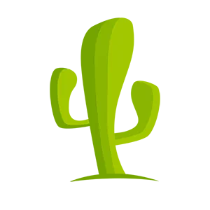 CactusVPN для ПК