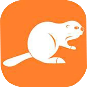 VPN Beaver для Instagram