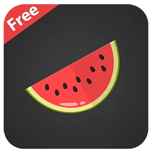 Иконка Melon VPN