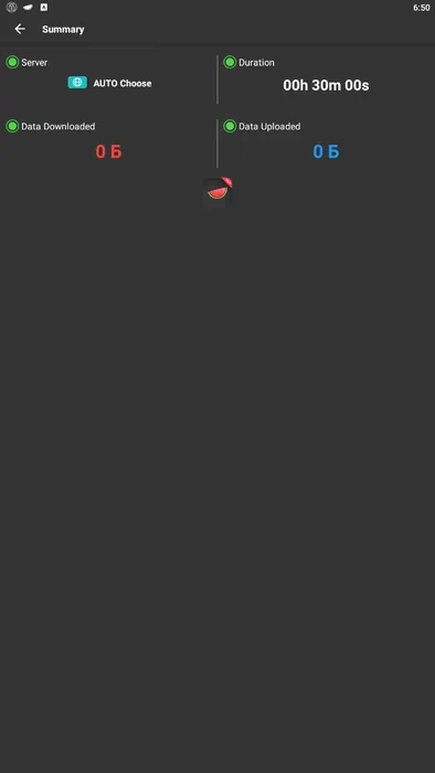 Работа Melon VPN